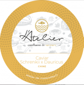 Caviar Schrenkii x Dauricus